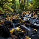 Starvation Creek